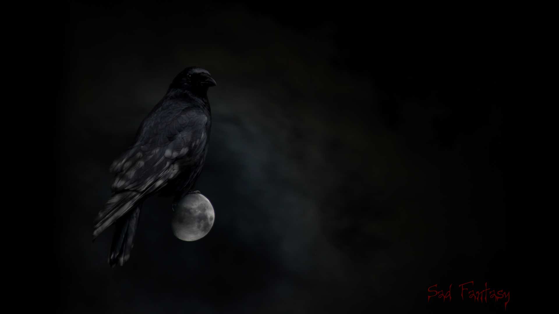 crow/raven on the moon by Sad Fantasy