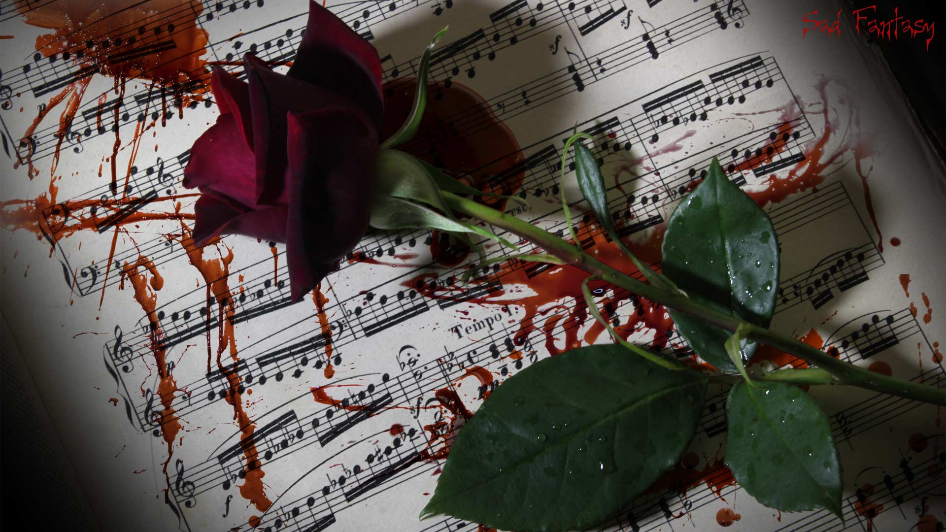 Romantic image of a rose blood and music by Sad Fantasy