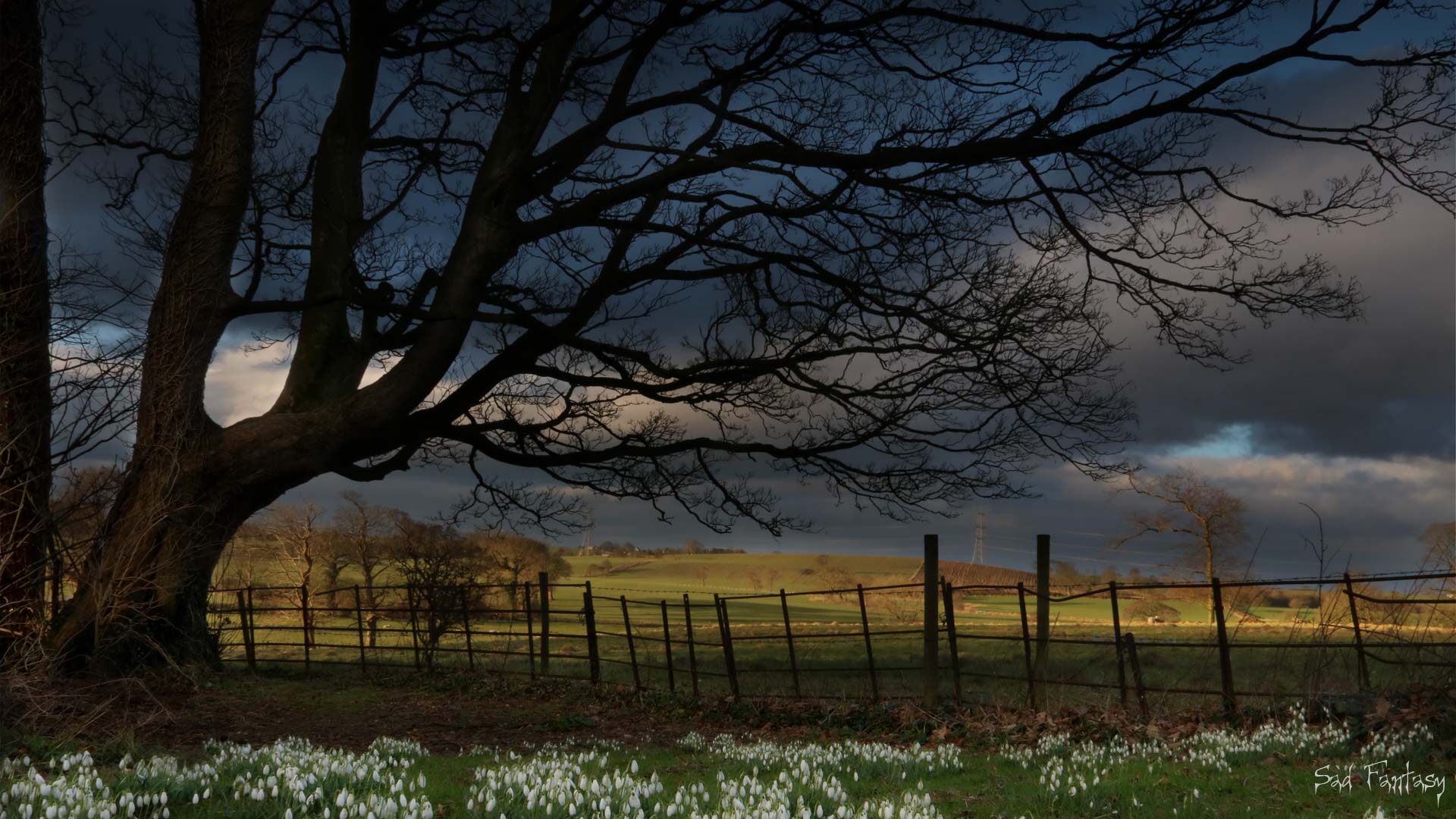 HDR photograph of early spring scene with stormy sky by Sad Fantasy