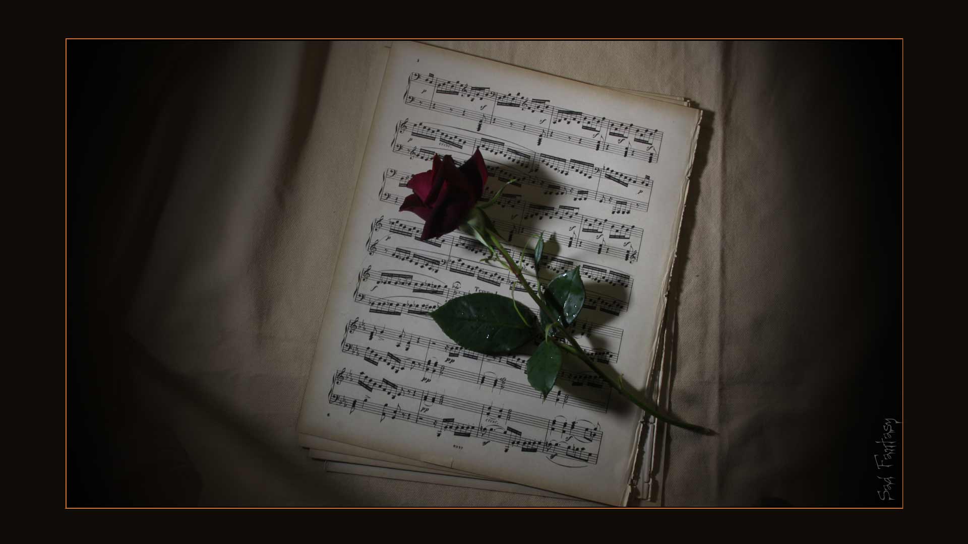 Romantic red rose and music by Sad Fantasy
